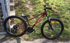 Juniorský bicykel KTM Penny Lane 272